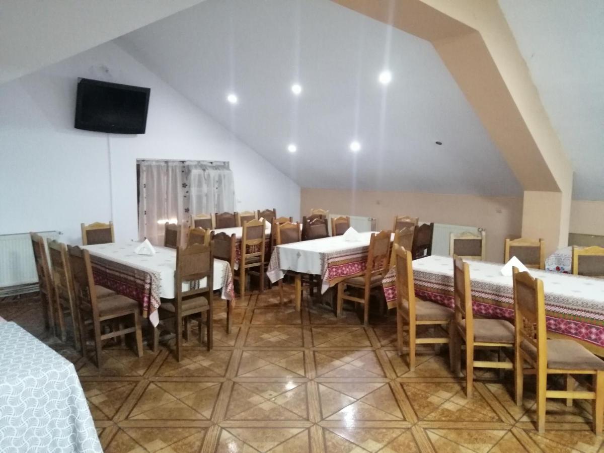 Vila Elly Piatra Neamţ 外观 照片