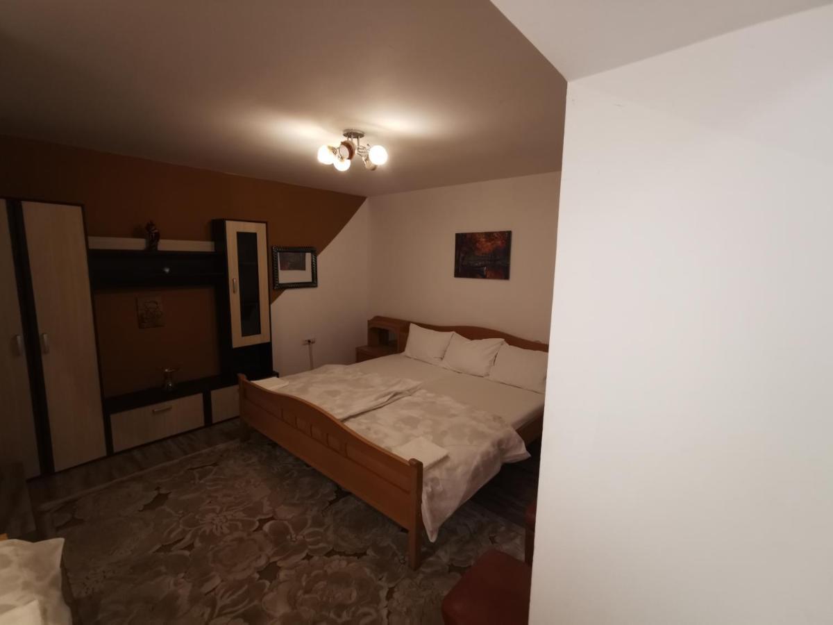 Vila Elly Piatra Neamţ 外观 照片