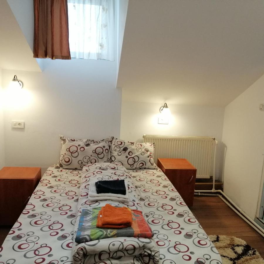 Vila Elly Piatra Neamţ 外观 照片